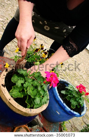 gardening or planting flowers in pot with dirt or soil. hands with trowel plant spring bloom