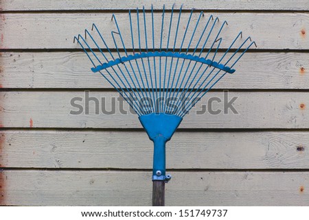 Wall garden shed with tools.  Rake blue. In the wall of rusty nails. The wall is painted. Visible structure of the tree.