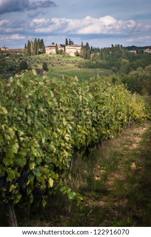 View of scenic Tuscany landscape , Chianti region, Tuscany, Italy