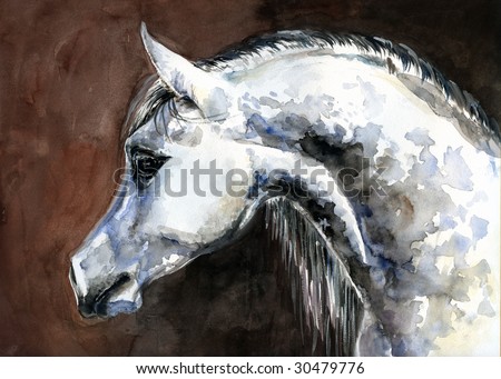 arabian horse wallpaper. arabian horse watercolor