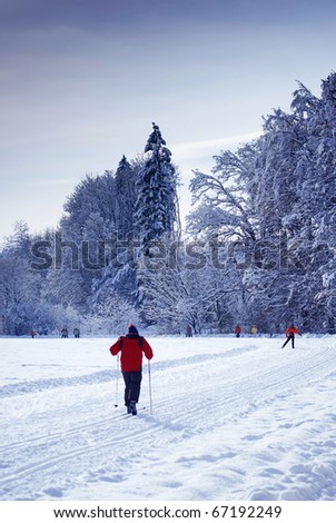 Winter landscape with forest,ski run and people skiing-Styria,Austria.