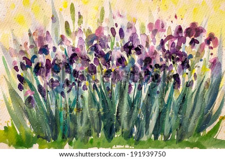 Violet iris flowers in garden.Picture created with watercolors.