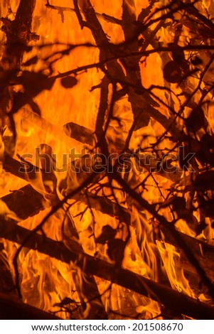 Nature background with bright fire on the wood at dark night.