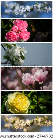 Collection of flowers banners-roses,magnolia and cherry flowers.