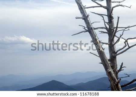 Moutain landscape showing dead tree from acid rain