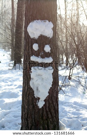 Tree with snow face in parp