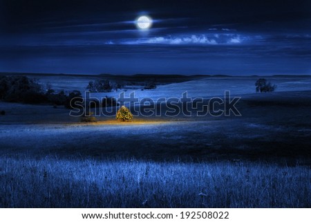 A brightly lit Christmas Tree glows warmly with the Christmas Spirit on a cold winter\'s night, under a full moon, in the open tall grass prairie.
