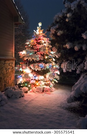 This Snow Covered Christmas Tree stands out brightly against the dark blue tones of late evening light and a brisk snowfall on Christmas Eve night.