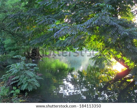 Landscape. Pond in  green garden. Rays of the sun on  water surface. Sunset. Summer. Milan. Italy