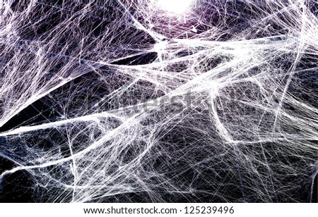 Spider Web Texture Background