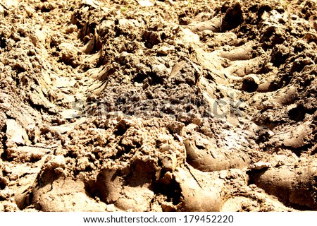 traces of the wheel off-road truck tire on the dried soil background pattern