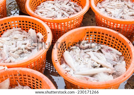 stack of fresh squid in basket sold in fish dock market