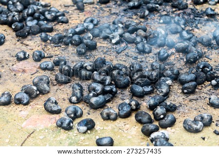 thai tradition cashew nut burned from stove charcoal with hot smoke on ground