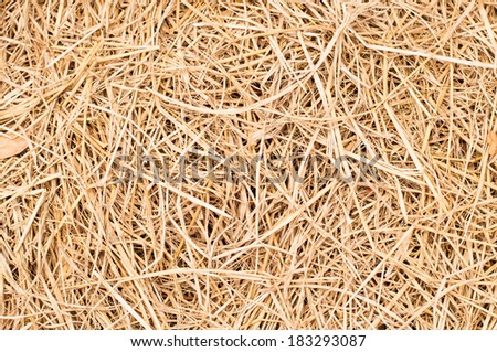 Rice straw background, Thailand