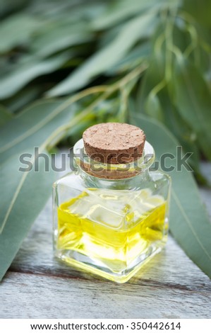 Eucalyptus leaves and essential oil on wooden cutting board.