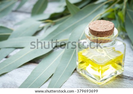 Eucalyptus leaves and essential oil on wooden cutting board.