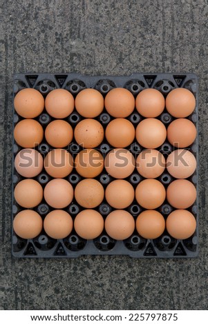 Eggs in a plate ready to be processed.