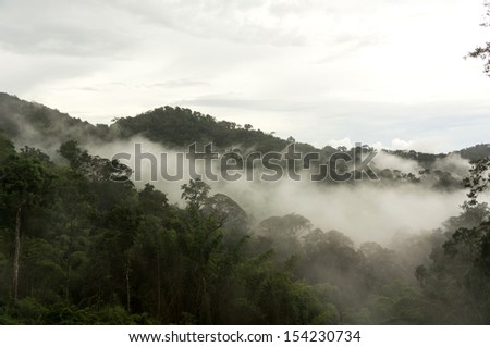 misty or foggy mountain along the way to Loei Province, Thailand.