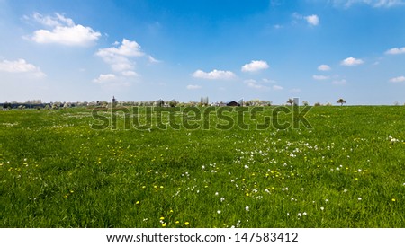 Field of flowers, beautiful natural field of wildflowers, a farm in the background, blue sky and white clouds