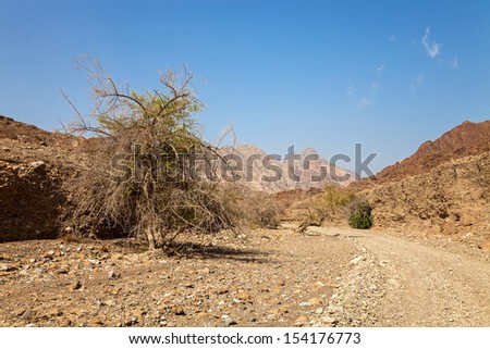 A dry riverbed, Wadi, used as a road in the United Arab Emirates.