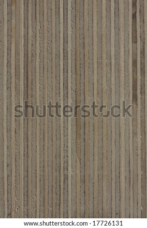 a plank of birch end grain for texture or background