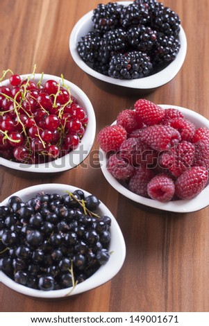 Four different black and red fruits: black currants, red currants, blackberries and raspberries