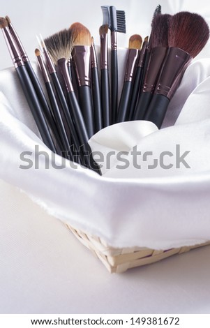 Absolutely woman\'s must-have an make-up brushes set - different sizes and shapes