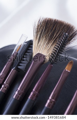 Absolutely woman's must-have an make-up brushes set - different sizes and shapes