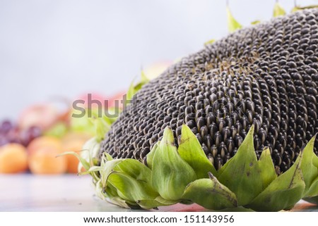 Close up photo of edible fruits - a sunflower with other full colors fruits in the background on a solid  bright blue wooden table