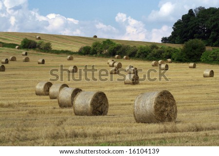 Idyllic picture of straw rolls just after the crop harvest