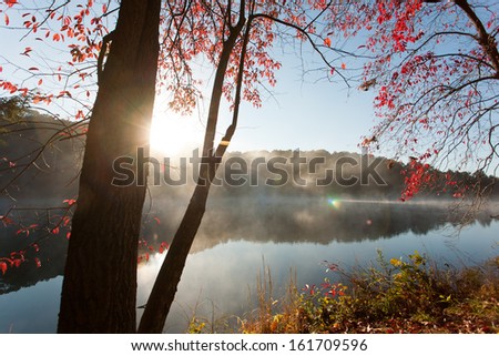 Colorful fall trees on the edge of a lake at sunrise.  Rose Lake, Hocking Hills State Park, OH, USA.