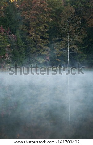 Trees reflected in a foggy lake at dawn.  Hocking Hills State Park, OH, USA.
