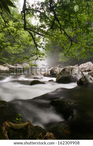 A foggy river through a forest.  Greenbrier, Great Smoky Mountains National Park, TN, USA.
