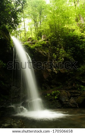 A waterfall in a forest.  Grotto Falls, Great Smoky Mountains National Park, TN, USA.