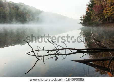 Logs in a foggy lake at dawn.  Rose Lake, Hocking Hills State Park, OH, USA.