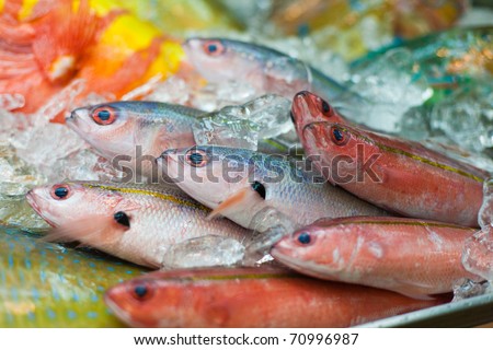 Fresh colorful Japanese tropical fish displayed at the fish market, Naha, Okinawa, Japan