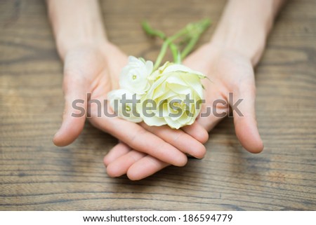 Open hands holding white flowers