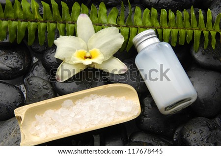 Fern with white orchid and massage oil ,salt in bowl on zen stones background
