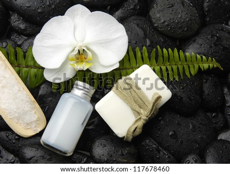 Fern with white orchid and massage oil ,soap, salt in bowl on zen stones background