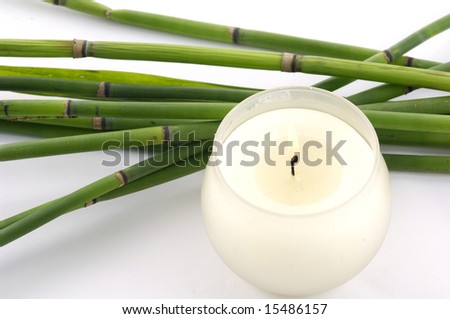 Lucky bamboo with candle on white