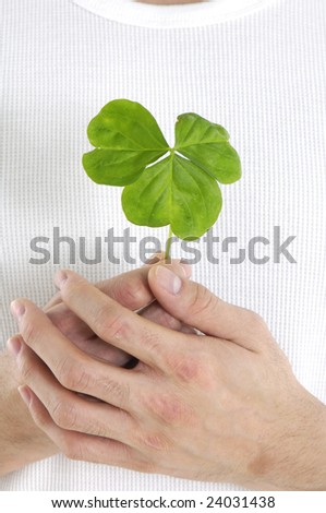 green leaf in hands