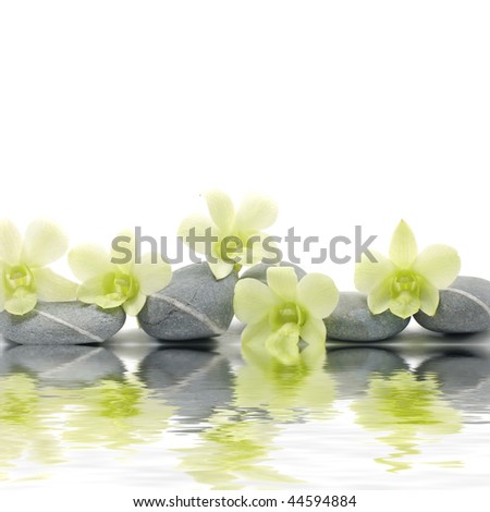 Row of stones and orchid with reflection