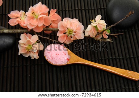 beauty treatment -Spring flowering quince and herbal salt on black background