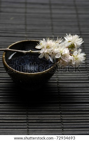 Spa Concept- white cherry blossom flowers in bowl