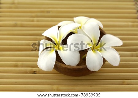 frangipani flower in bowl on bamboo mat