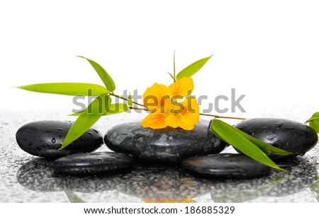 Spa still life with black stones and bamboo leafs with orange flower