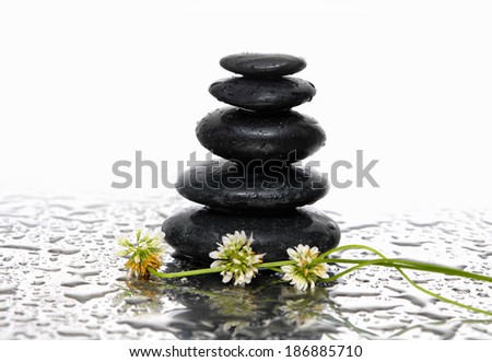 Spa Background with branch flowers