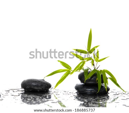 zen stones and bamboo leaves with water drops