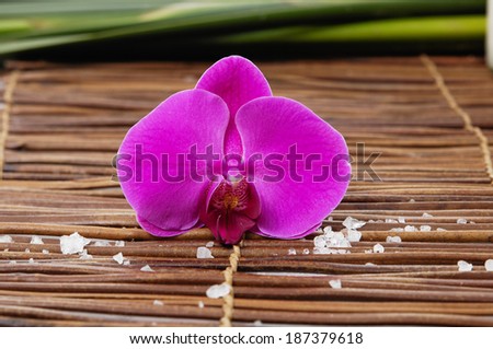 Macro of red orchid with pile of white salt on bamboo mat on leaves background