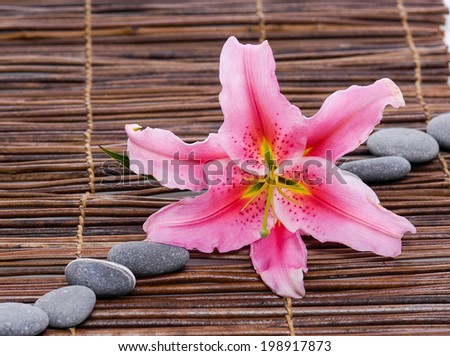 Pink lily with row of stones on mat